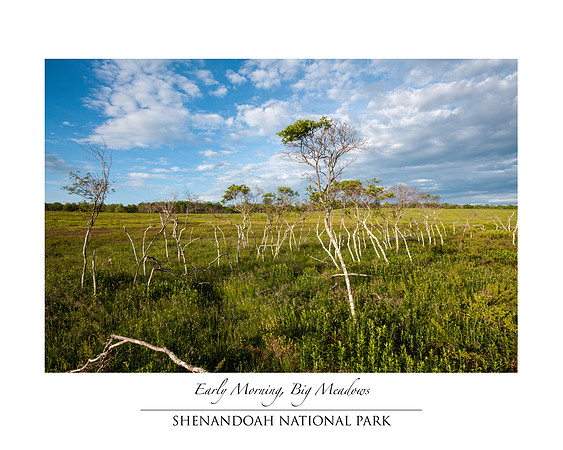 Early Morning in Big Meadows, Shenandoah National Park