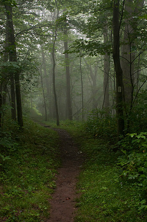 Pocosin Mission Trail, Shenandoah National Park