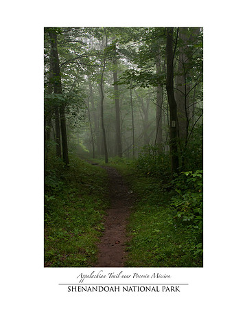 Appalachian Trail near Pocosin Mission in Shenandoah National Park