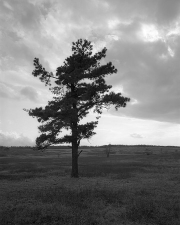 Shenandoah National Park Big Meadows
