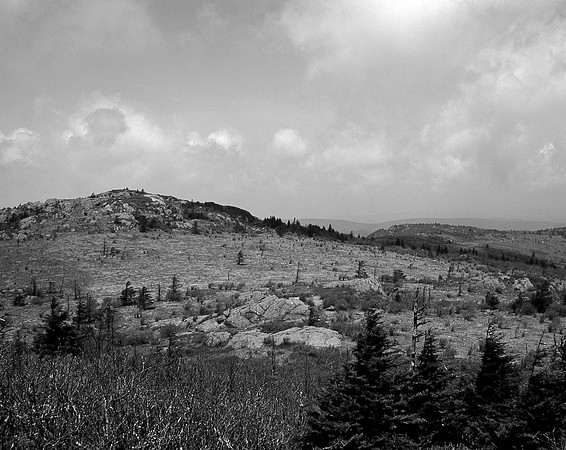 Wilburn Ridge, Mount Rogers Recreation Area