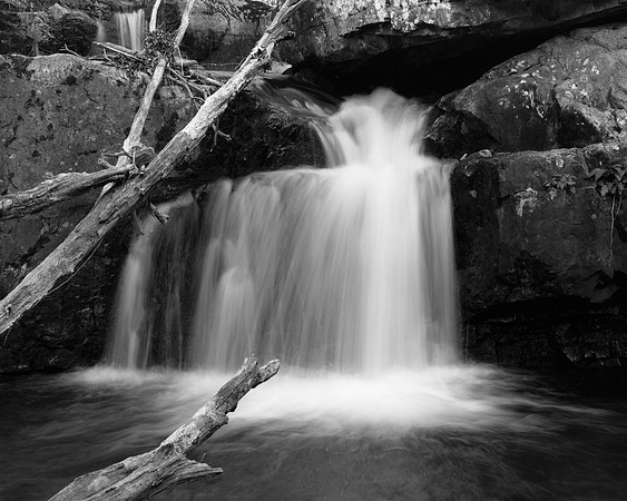 Saint Mary's Wilderness, central VA