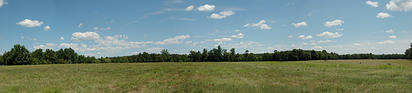 Fluvanna County Corn Field