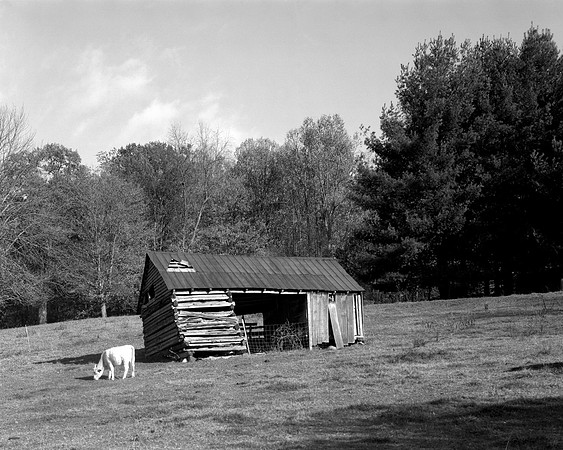 My grandfather's farm