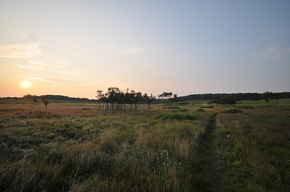 Sunrise Big Meadows, Shenandoah National Park