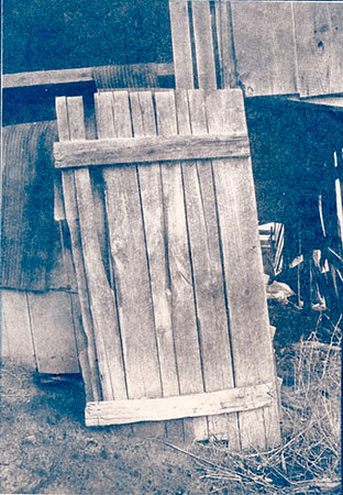 Toned Cyanotype
