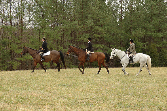 Redlands Fox Hunt
