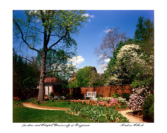 UVA Gardens, University of Virginia
