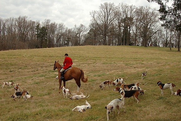 Redlands Fox Hunt