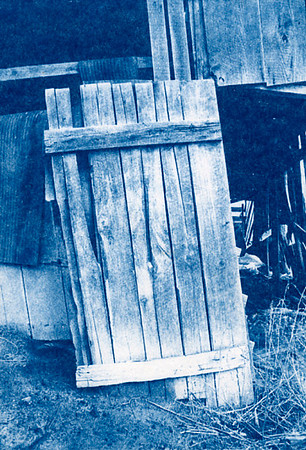 Cyanotype