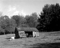 My grandfather's farm